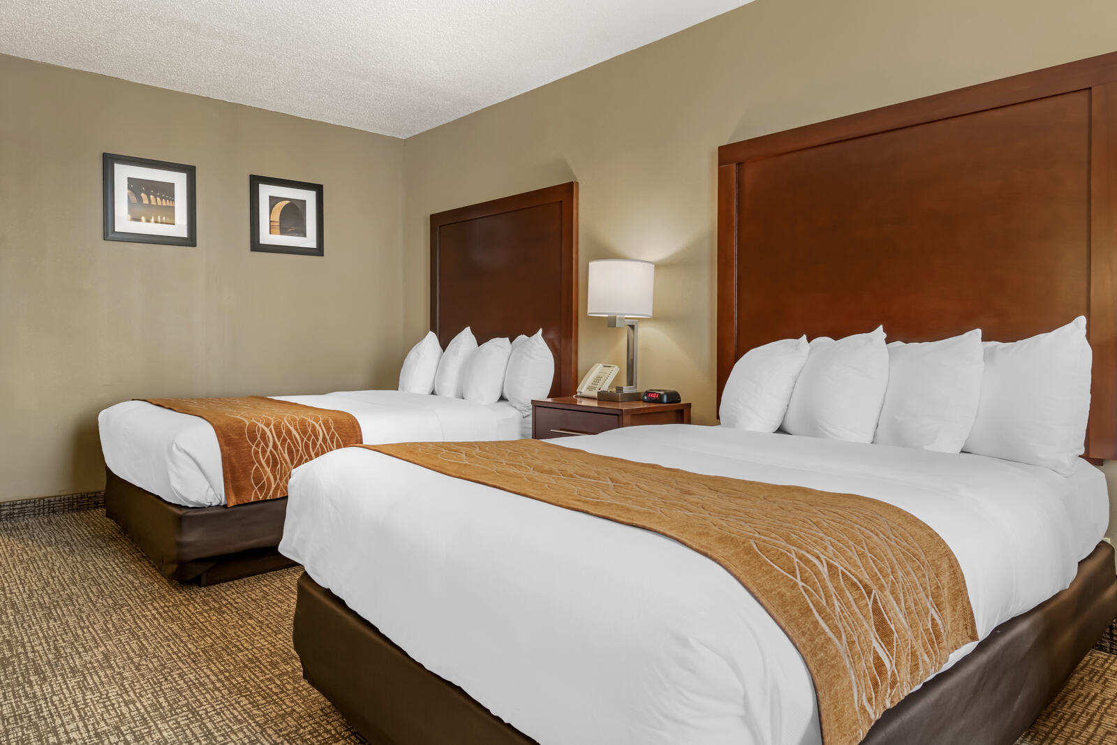 Double Room at Comfort Inn Bloomington